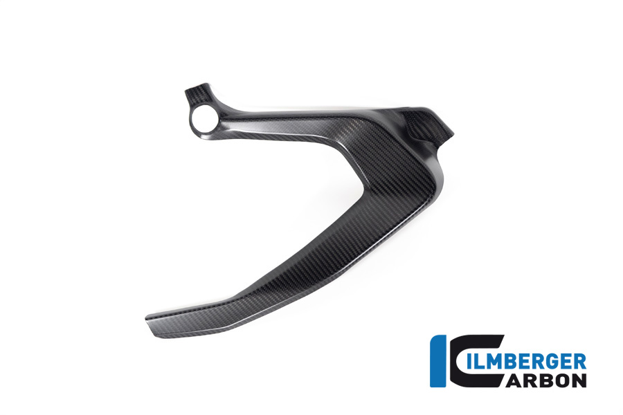 Ilmberger Carbon upper frame cover, matt, BMW R1300GS 2023-