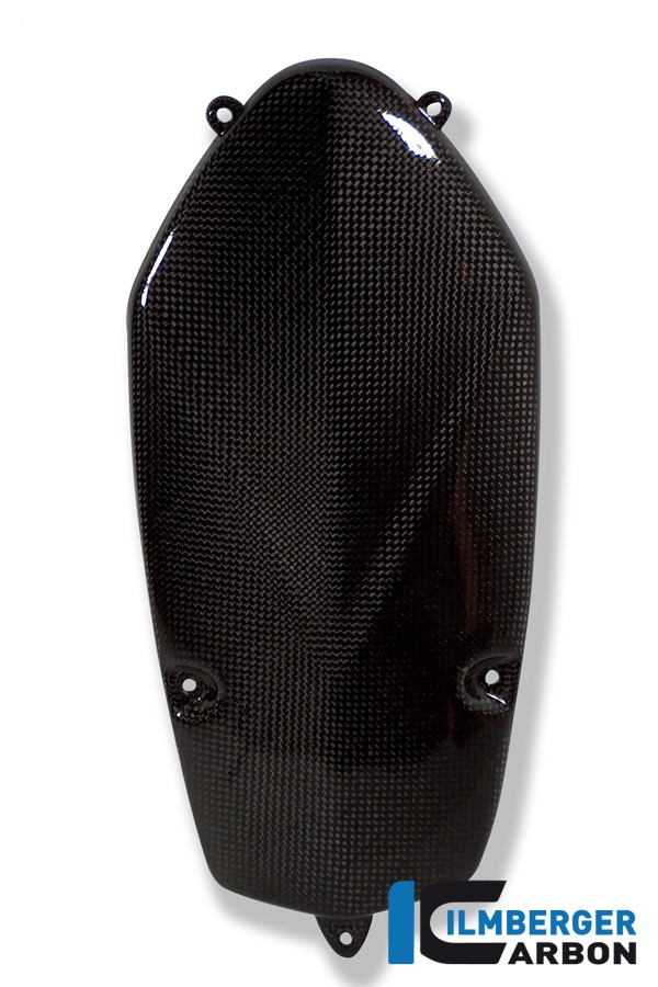 Lichtmaschinendeckel, Carbon
