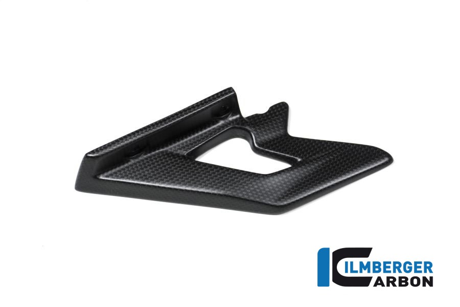Ilmberger Carbon Lower chainguard matt