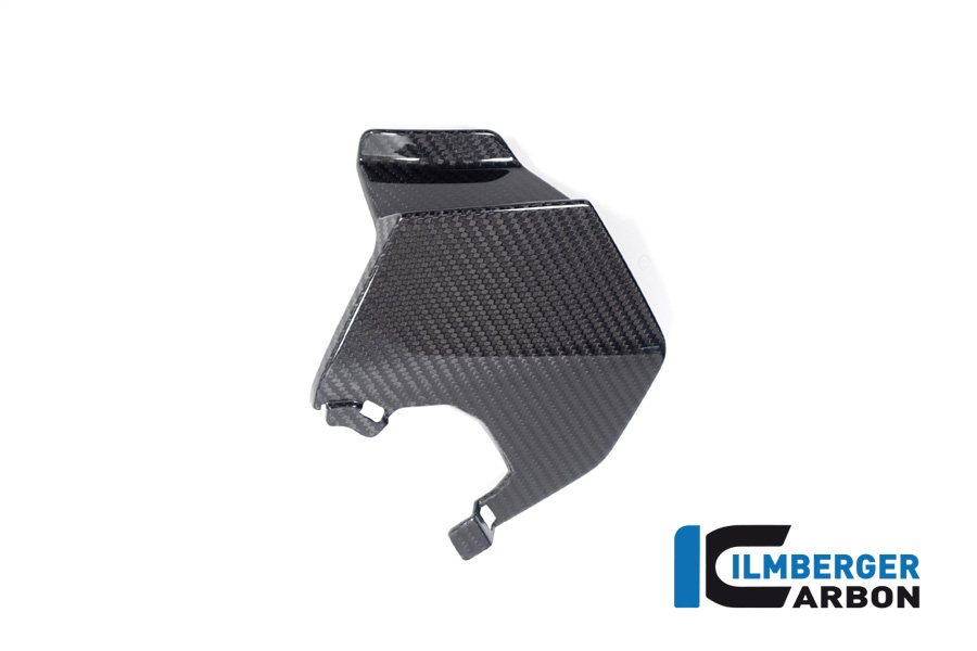 Ilmberger Carbon Upper Winglet left side L/S for BMW M1000XR, S1000XR, from 2024-