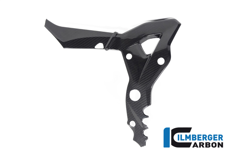 Ilmberger Carbon Frame Cover, Glossy, BMW S1000XR 2020- M1000XR 2024-