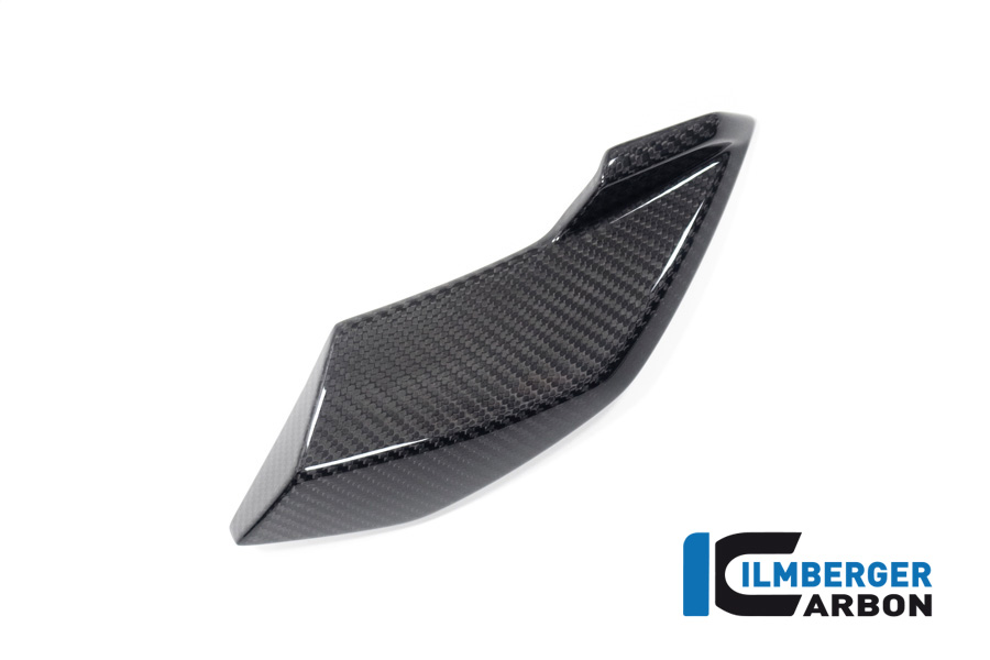 Ilmberger Carbon Side Cover on the head light left side L/S, glossy, BMW S1000R 2020-, M1000R 2023-