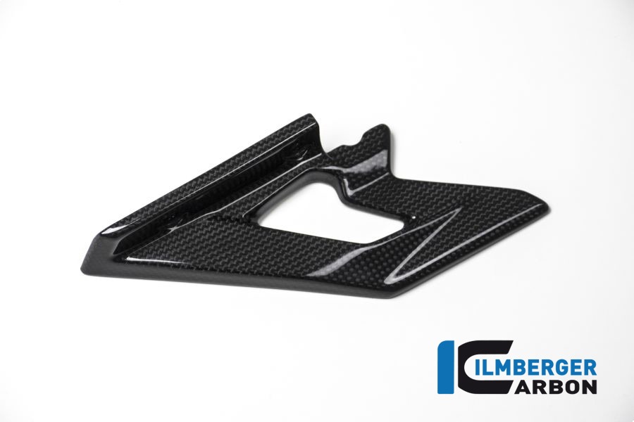 Ilmberger Carbon Lower chainguard gloss