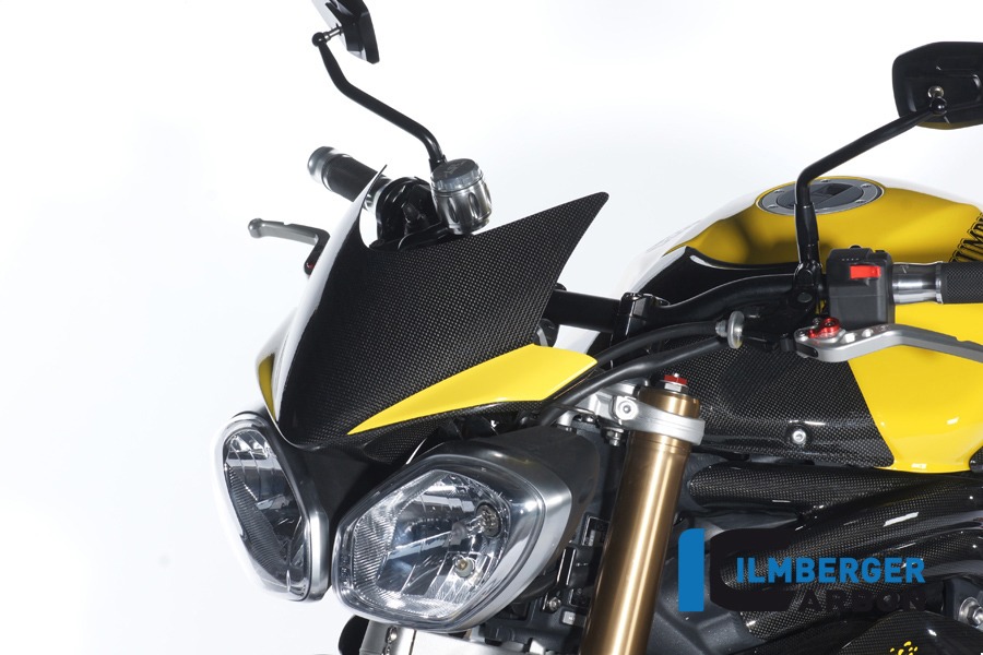 Windschild, Carbon