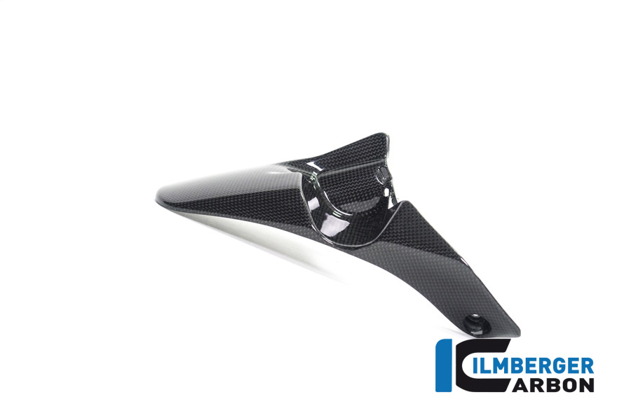 Ilmberger Carbon Rear Mudguard rear, Glossy Ducati Monster 1200, 1200S 2014-2016