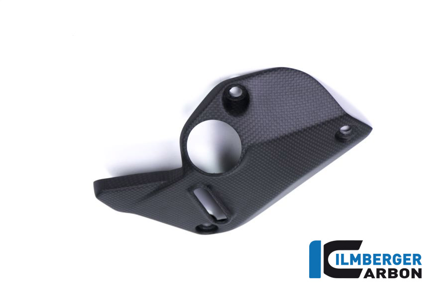 Ilmberger Carbon Cover under the frame right side R/S, matt Ducati Monster 1200, 1200S 2017-