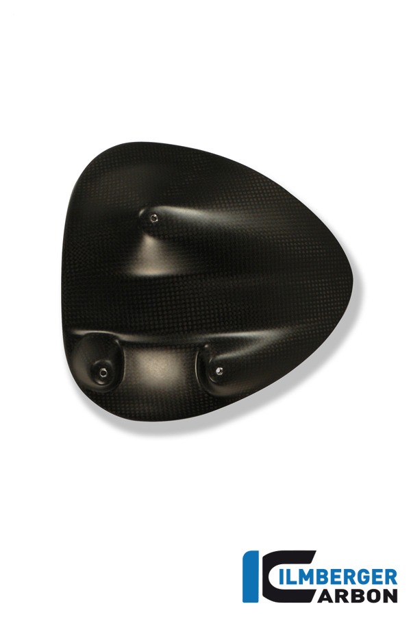 Spritzschutz hinten, Carbon