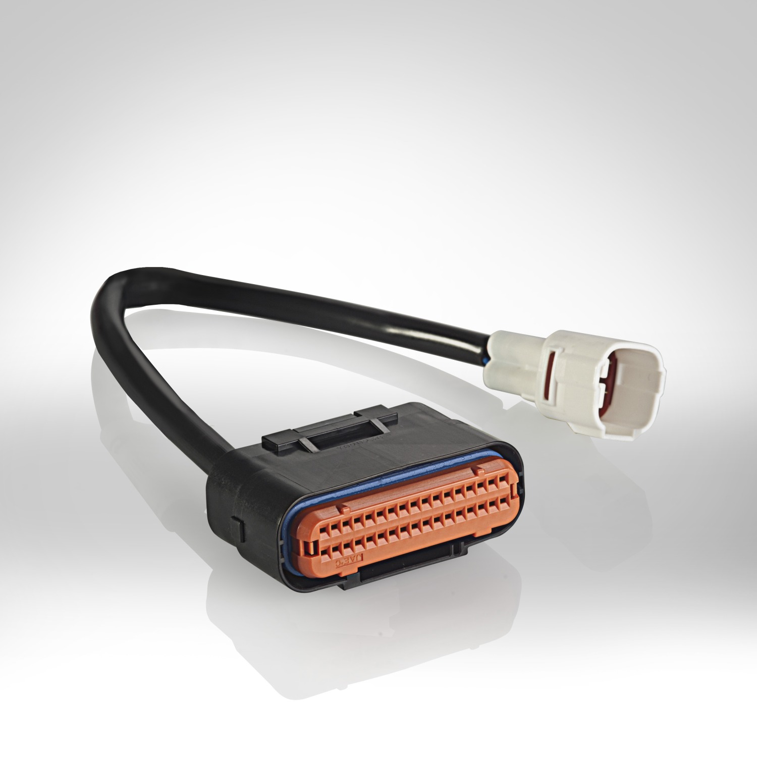 Rapid Bike Software Master Professional