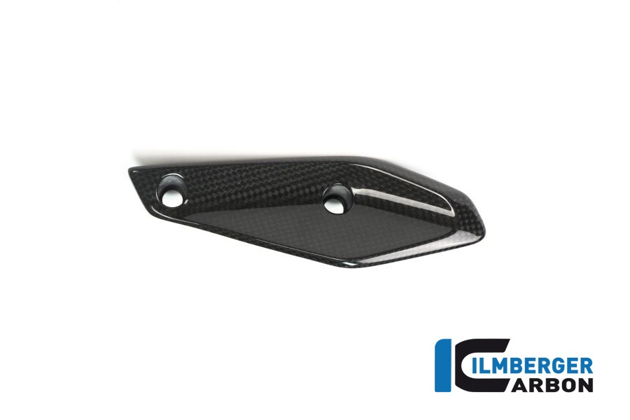 Ilmberger Carbon Fairing Winglet left side L/S