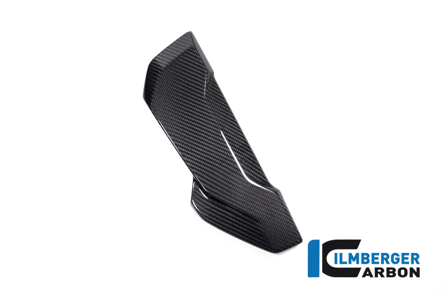 Ilmberger Carbon Pillion Seat Cover, Glossy, BMW S1000R 2020-, M1000R 2023-