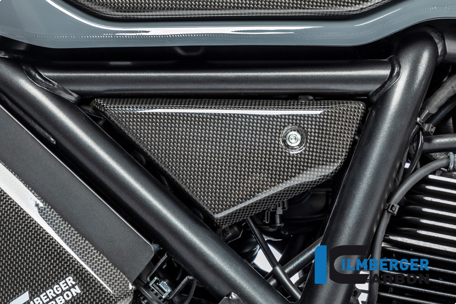 Ilmberger Carbon cover under frame left side L/S glossy