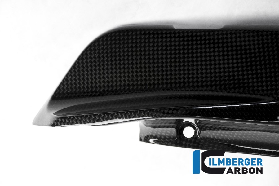 Ilmberger Carbon cover under the frame left side L/S, gloss