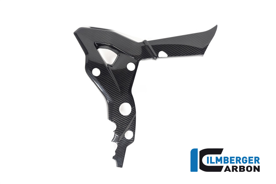 Ilmberger Carbon frame cover right side R/S, glossy, BMW S1000XR 2020- M1000XR 2024-