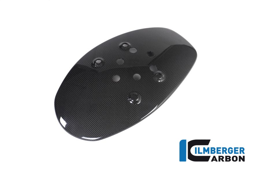 Ilmberger Carbon splash protector rear gloss