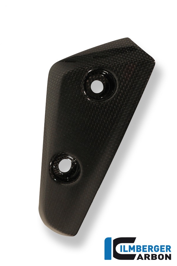 Flap am Kotflügel vorne links, Carbon