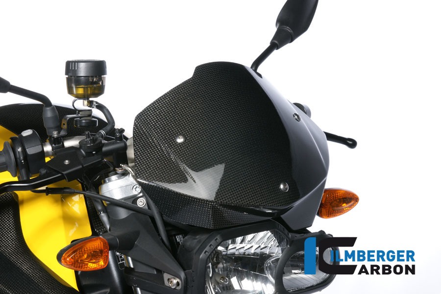 Windschild, Carbon