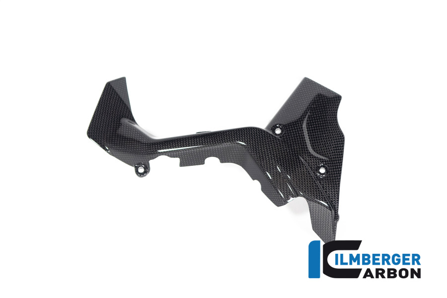 Ilmberger Carbon Sprocket Cover, glossy, Ducati Diavel V4, 2023-