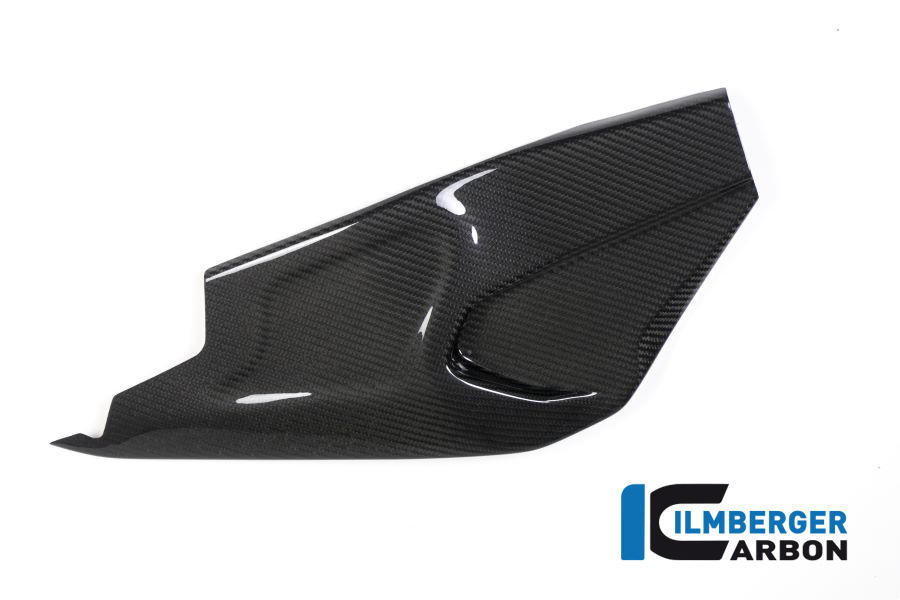 Ilmberger Carbon Swing Arm Cover right side R/S glossy, BMW HP4 RACE 2018-2019