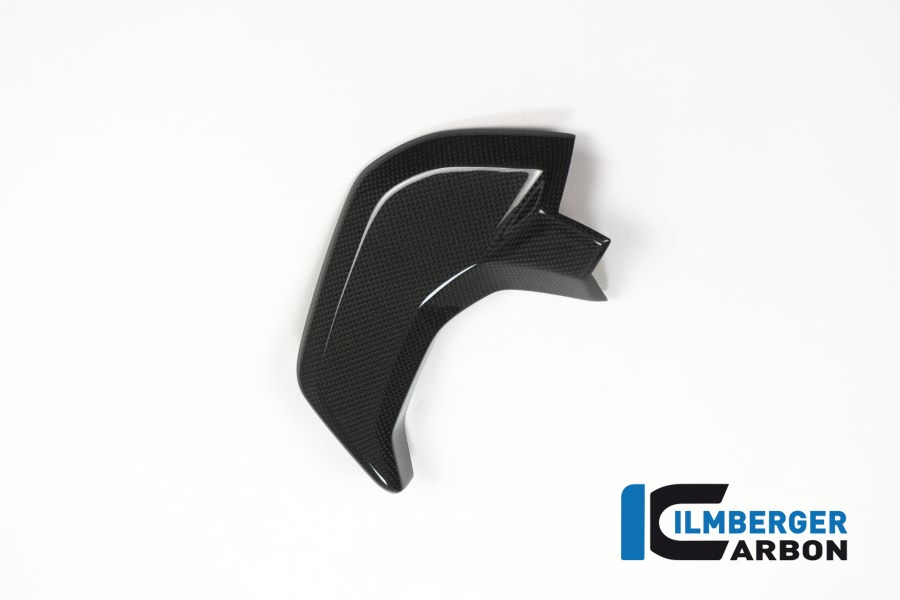 Ilmberger Carbon Cover next to Cockpit left side L/S Gloss