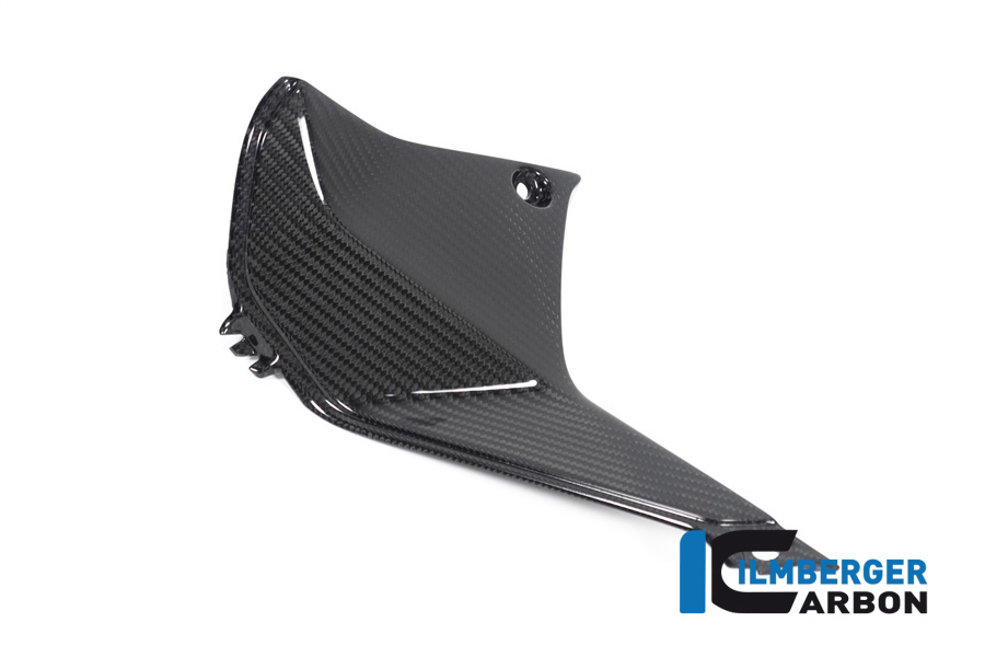 Ilmberger Carbon left side L/S Cover next to Cockpit, Glossy, BMW R1250RS 2019-