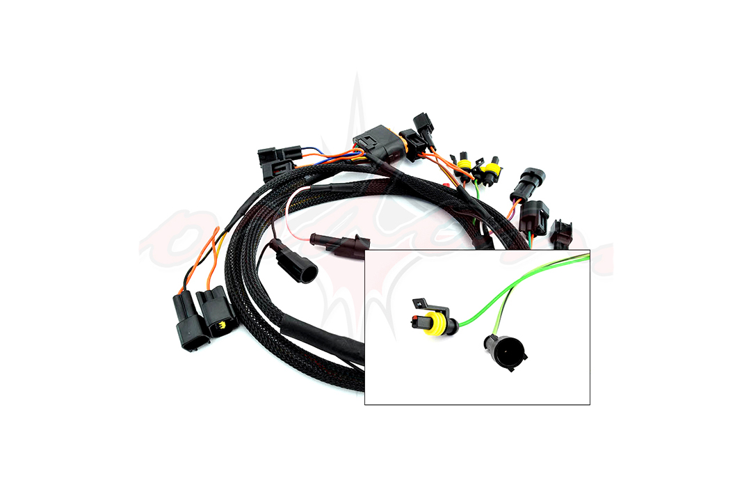Cordona Twin Faston Wiring Harness