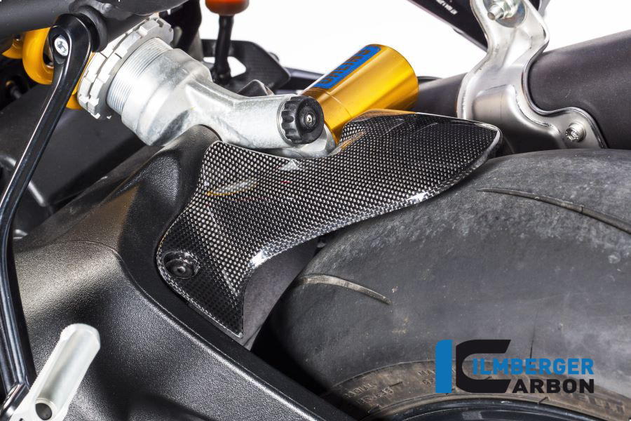 Ilmberger Carbon Rear Mudguard rear, Glossy Ducati Monster 1200, 1200S 2014-2016