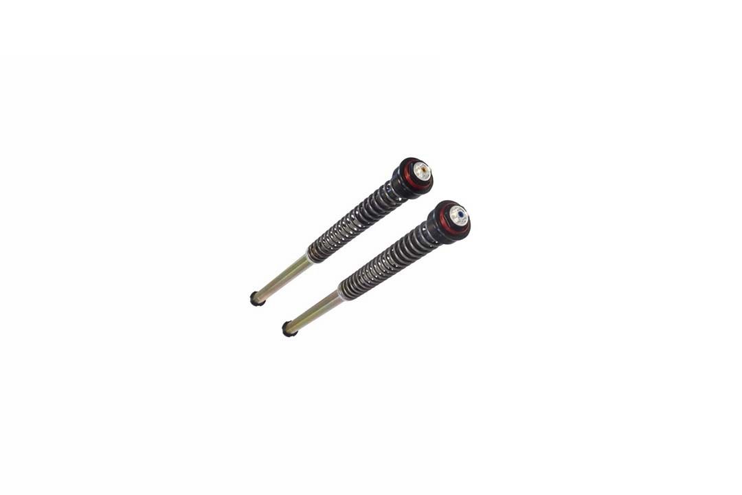 BITUBO JBH Cartridge Kit for Yamaha MT09 from model year 2021-