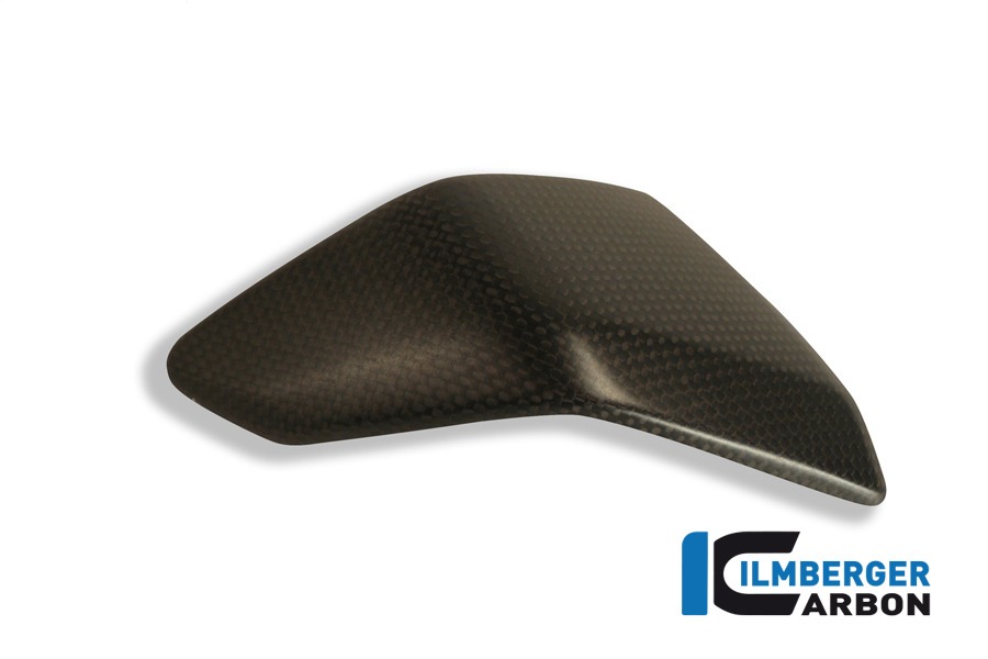 Ilmberger Carbon Side Fairing Insert left side L/S, Carbon
