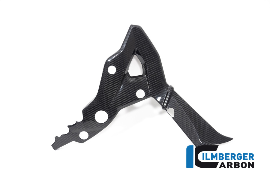 Ilmberger Carbon frame cover right side R/S, glossy, BMW S1000XR 2020- M1000XR 2024-
