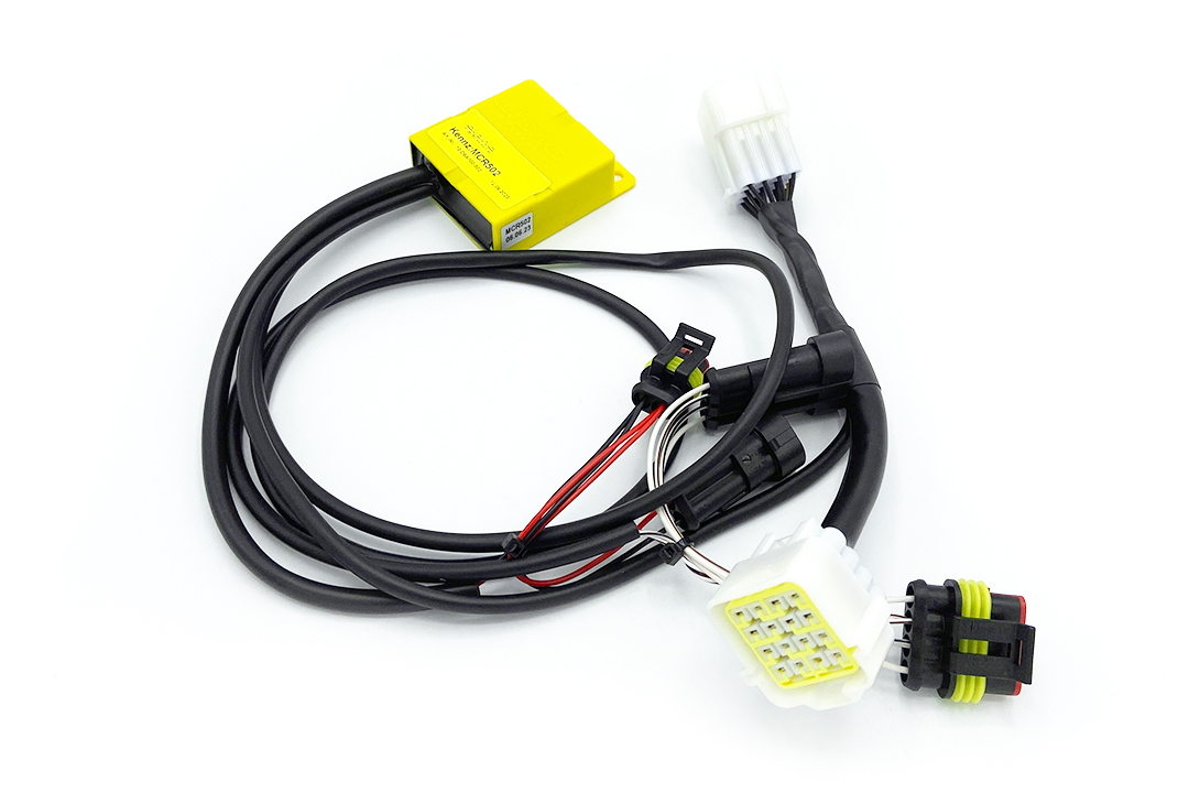Moped Restriction Kit for Piaggio 1, Type CE0, from Model Year 2022