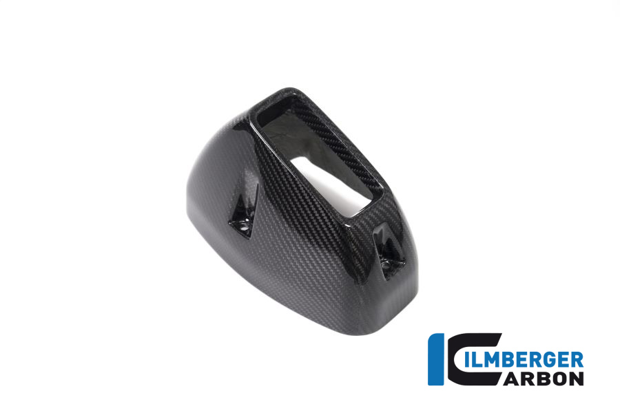 Exhaust Heat Shield rear Carbon for BMW R 1250 GS from 2019 onwards