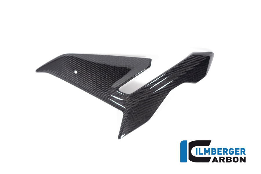 Ilmberger Carbon Fairing Side Panel left side L/S, glossy, BMW M1000R 2023-