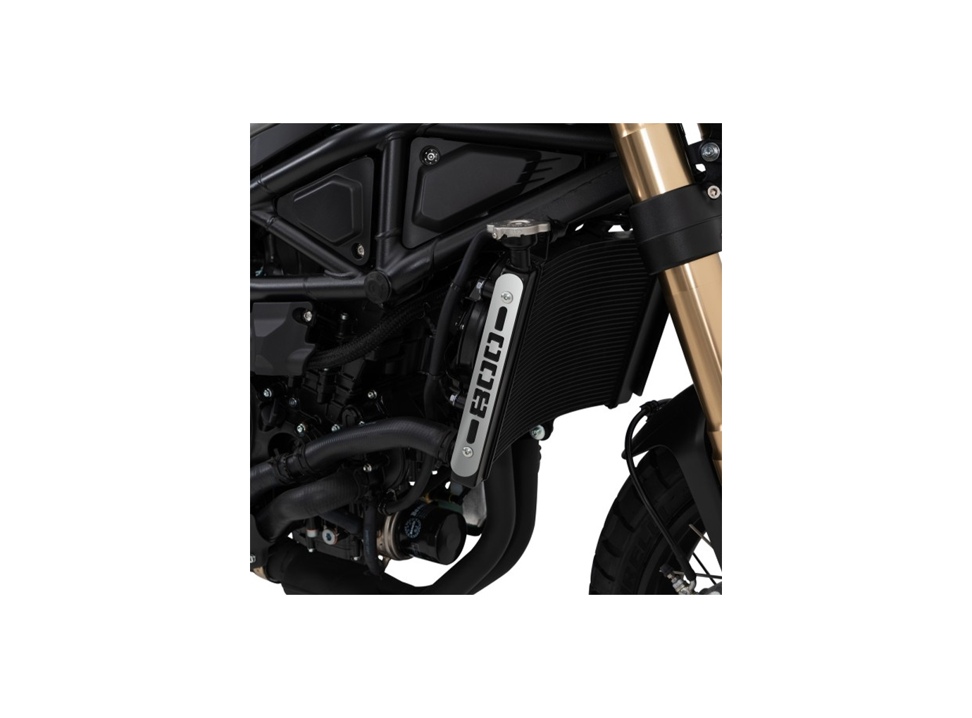 Barracuda radiator side fairing for Benelli Leoncino model year 2022-