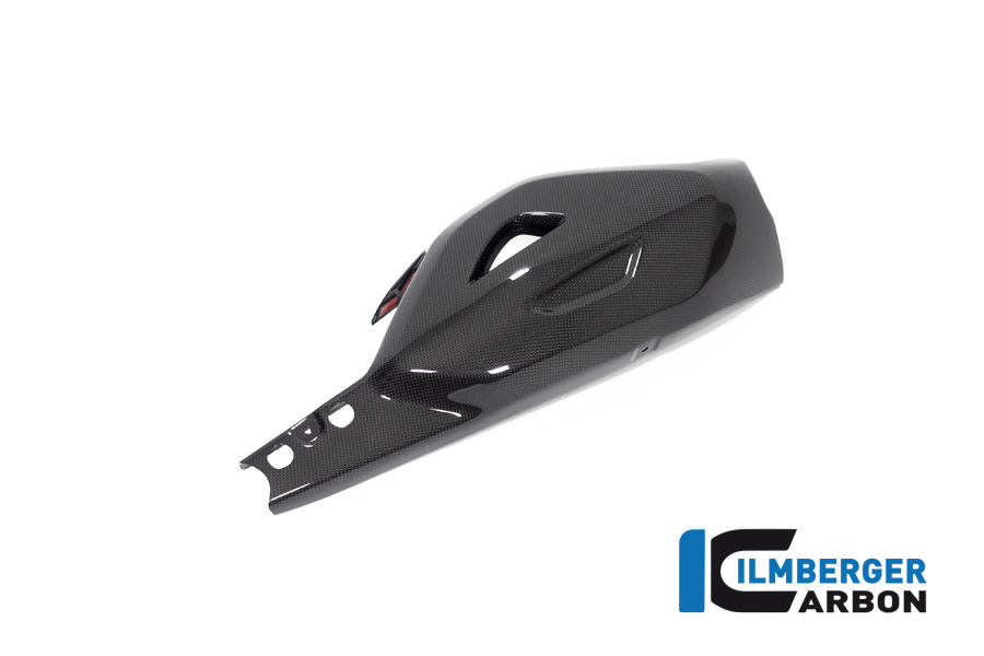 Ilmberger Carbon Swingarm Protector, Gloss, Ducati Diavel V4, 2023-