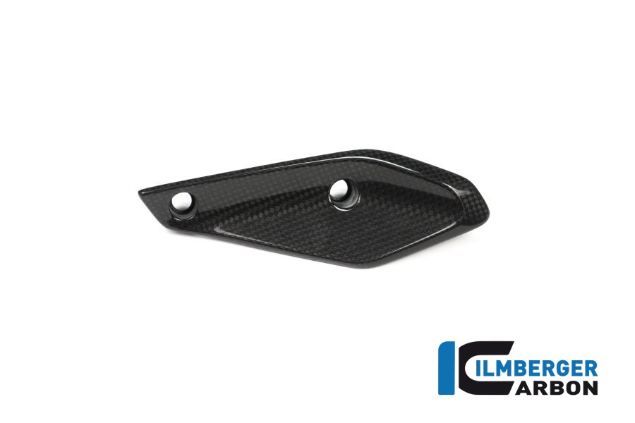 Ilmberger Carbon Fairing Winglet left side L/S