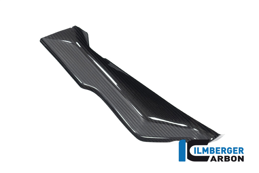 Ilmberger Carbon Cover under Fairing upperpart right side R/S, glossy, BMW R1250RS 2019-
