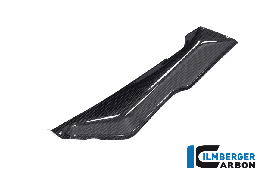 Ilmberger Carbon Cover under Fairing Part left side L/S, glossy, BMW R1250RS 2019-