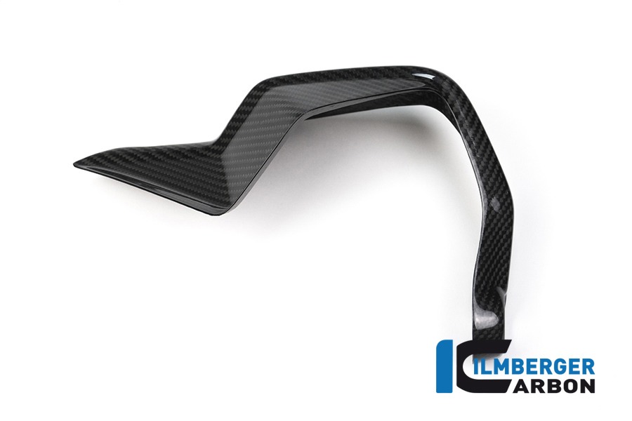 Ilmberger Carbon Handguards right side R/S BMW S1000XR 2015- M1000XR 2024-