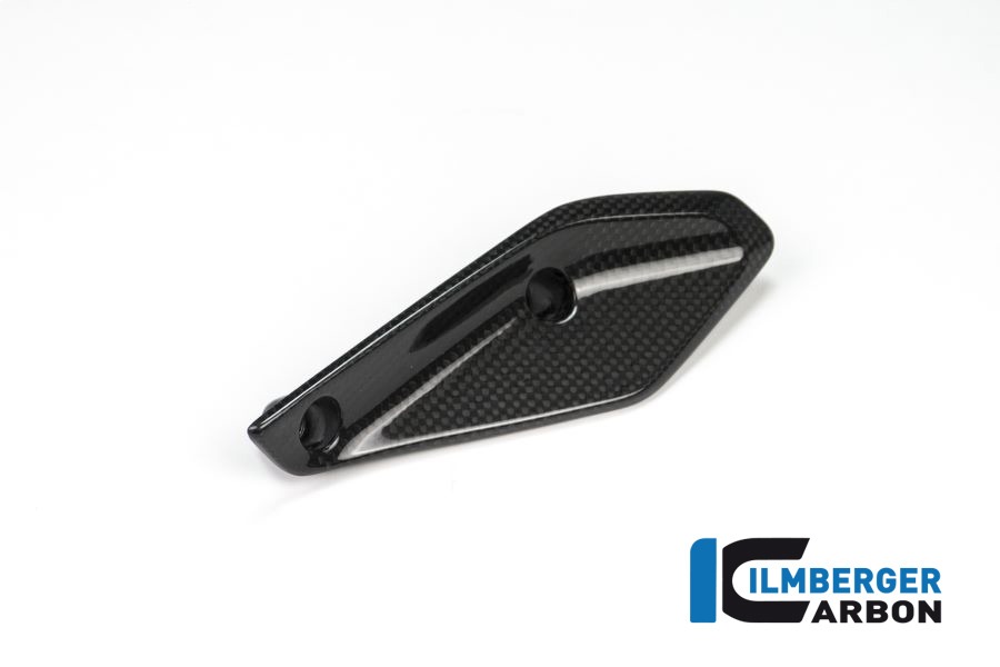 Ilmberger Carbon Fairing Winglet left side L/S