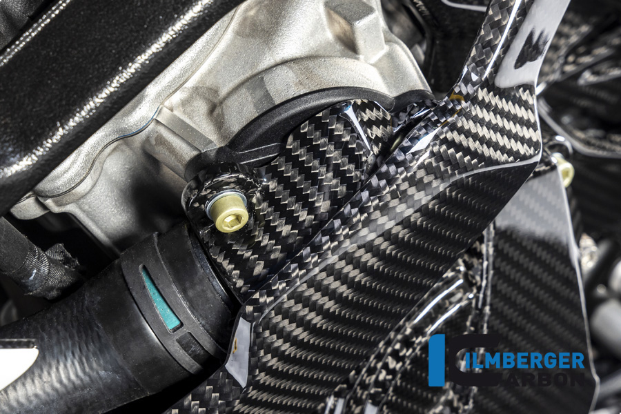 Ilmberger Carbon water-pump cover cover, BMW S1000RR 2019-, M1000RR 2020-, M1000R 2023-