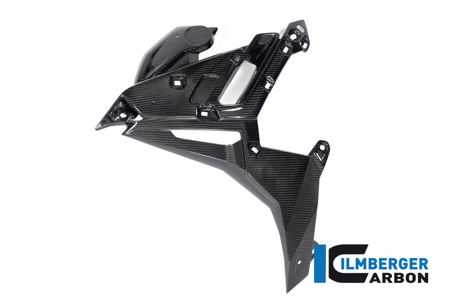 Ilmberger Carbon Radiator Cover left side L/S, glossy, BMW M1000R 2023-