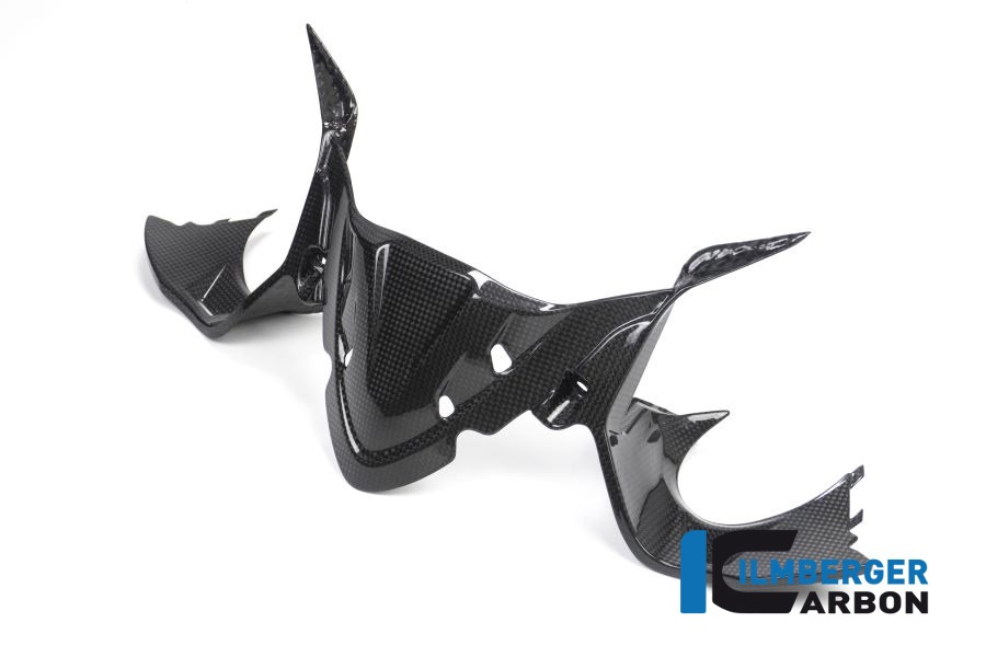 Ilmberger Carbon Instrument Cover, Glossy Carbon