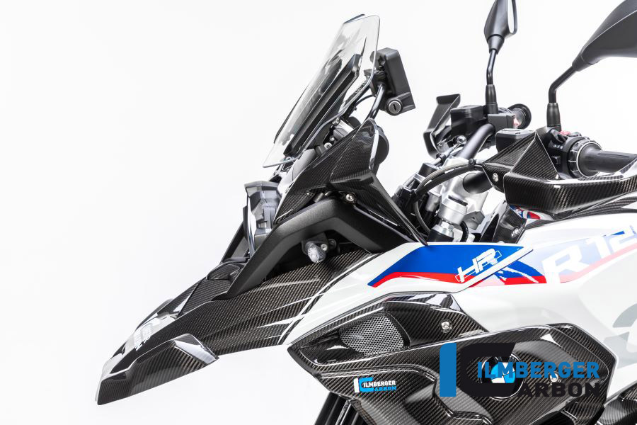 Windschild, Carbon