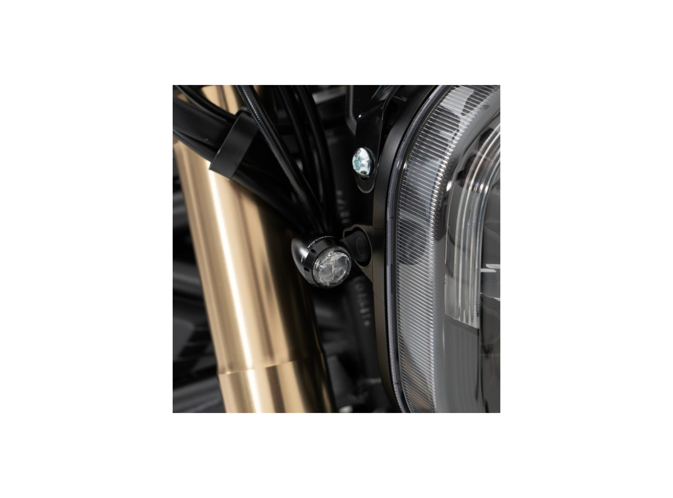 flasher light, turn signaladapter for Benelli Leoncino 800 (Set)