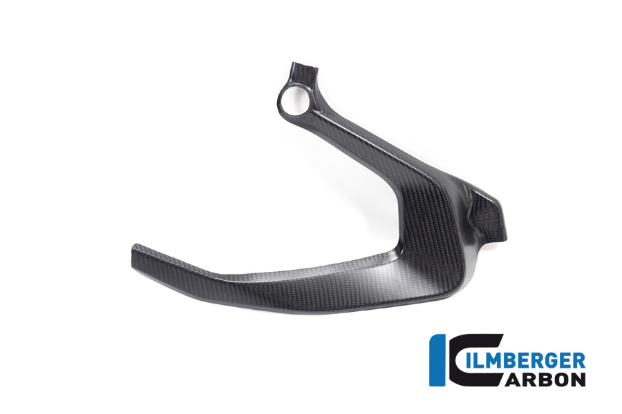 Ilmberger Carbon upper frame cover, matt, BMW R1300GS 2023-