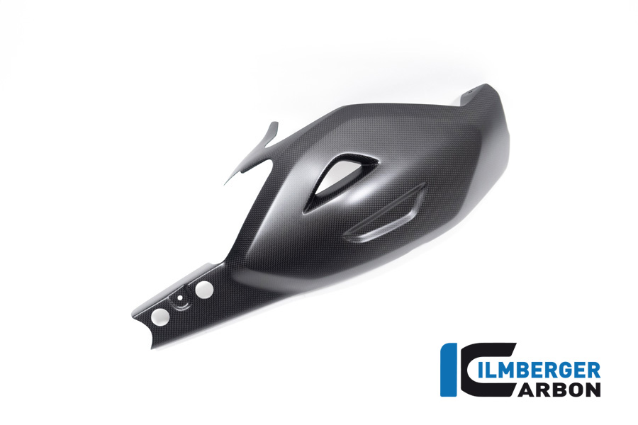 Ilmberger Carbon Swingarm Protector, matt, Ducati Diavel V4, 2023-