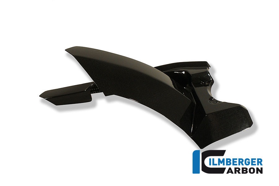 Kotflügel hinten, Carbon