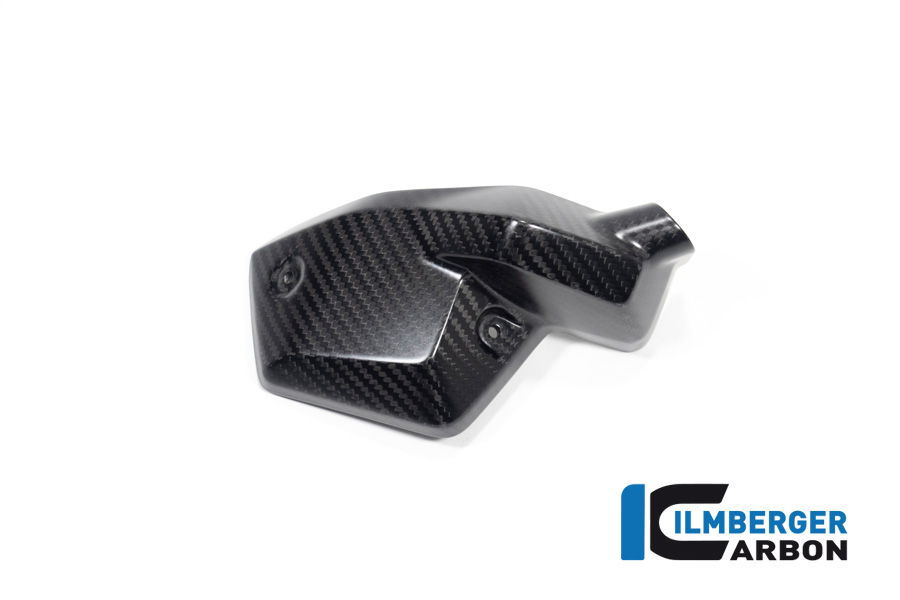 Ilmberger Carbon Injector Cover left side L/S, matt, BMW R1300GS 2023-