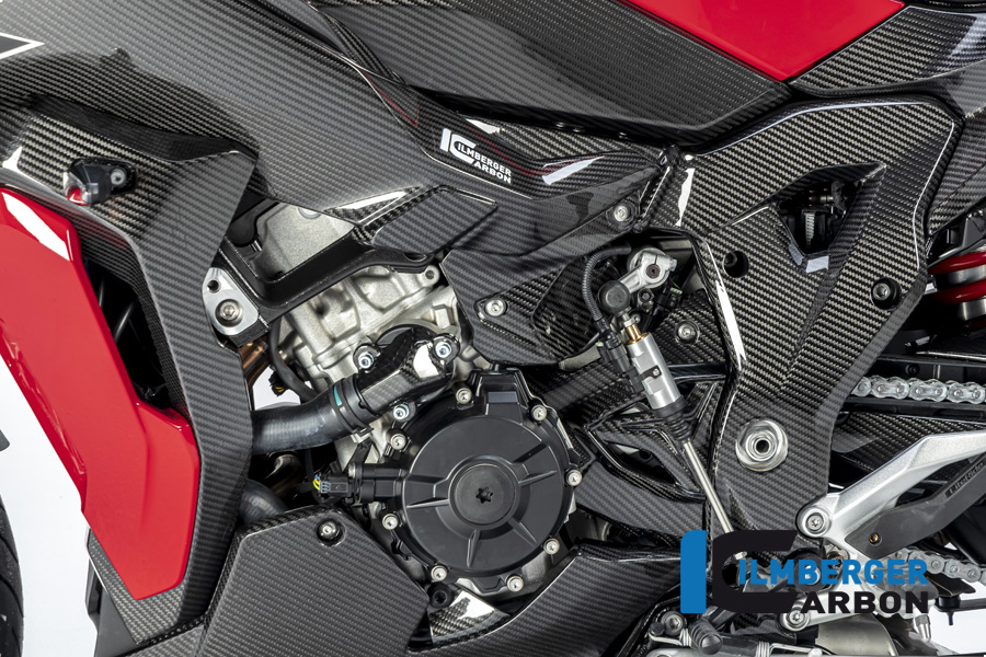 Ilmberger Carbon Frame Cover, Glossy, BMW S1000XR 2020- M1000XR 2024-