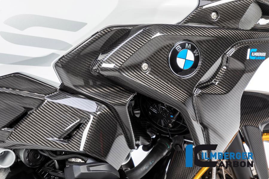 Windschild, Carbon